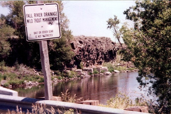 Trout Fishing Sign